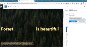 Adjust the title, URL, and meta descriptions