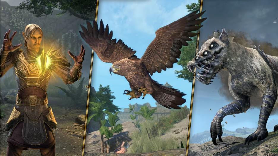 Are you a fan of ESO's rich lore Then you’ll love LoreBooks.