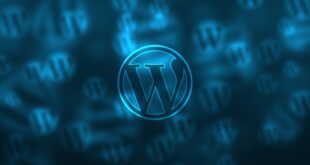 How to Duplicate a Page in WordPress