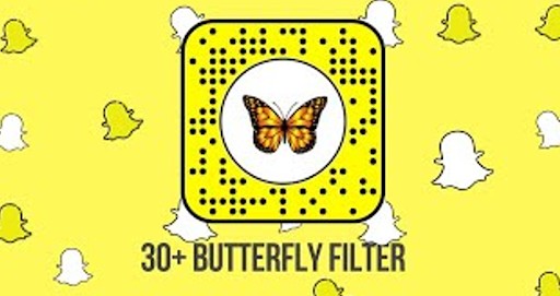 Memorable Butterfly Lens Content