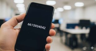 6615934042 -What’s The Story Behind This Number