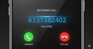 8337382402 - Why This Number Pops Up Everywhere