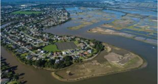 Understanding Your Risk: The Essential Guide to Flood Check Property Reports